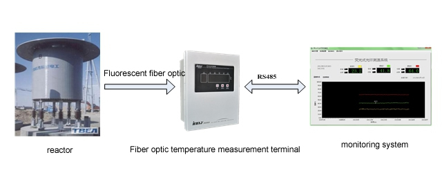 Reactor temperature measurement