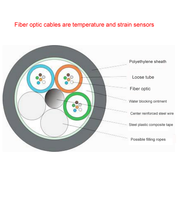 BOTDR/A Distributed fiber optic temperature and strain sensing system - Distributed Fiber Optic - 2